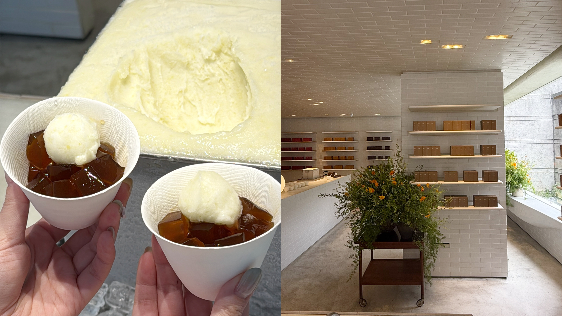 Aesop夏季期間限定花店